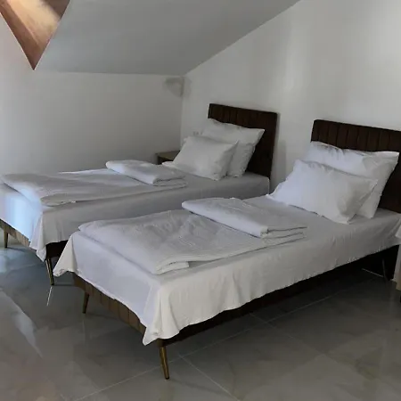 Casa de hóspedes Camellia Lepenica